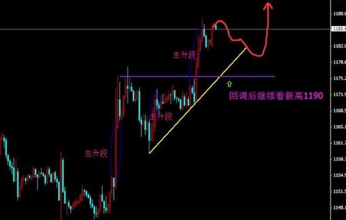 黄金赤龙火炮属性(黄金赤龙火炮厉害吗)