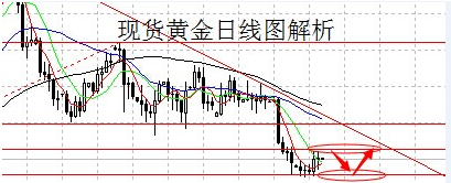 黄金轮(黄金轮芍药)