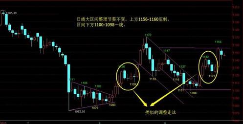 黄金蟒认识主人吗(黄金蟒量主人身长)