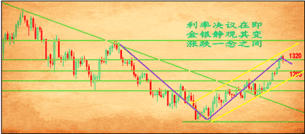 黄金蟒会绞杀主人吗(黄金蟒会保护主人吗)