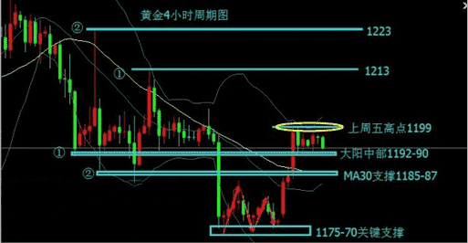 黄金茶的功效(安徽黄金茶的功效)