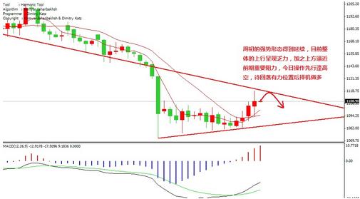 黄金罗刹多强(罗刹神有多强)