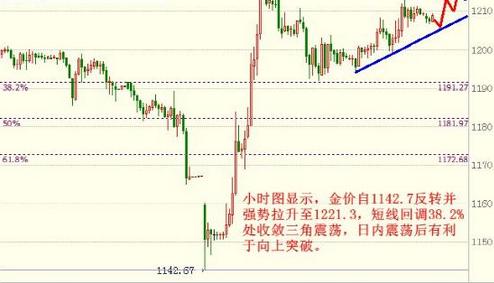 黄金眼浮漂型号介绍(黄金眼浮漂型号介绍图片)