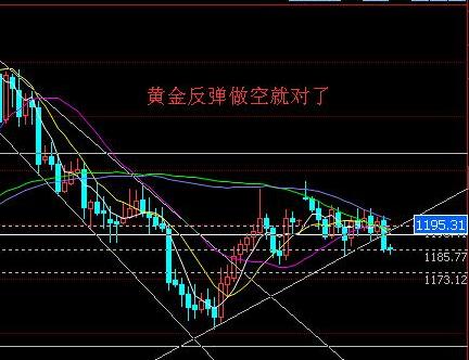 黄金矿工单机版下载(黄金矿工单人版手机版)