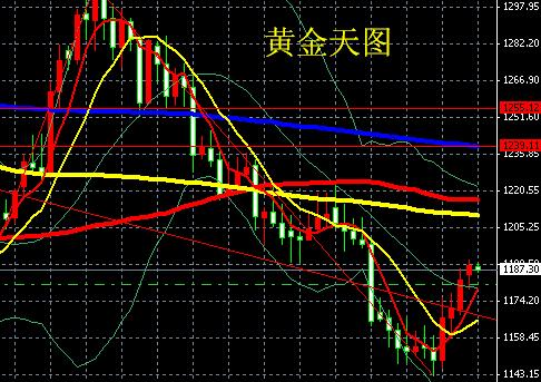 黄金甲鱼竿价格(黄金甲鱼竿是哪里产的)