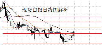 黄金海岸三纬路浴场(黄金海岸海水浴场)