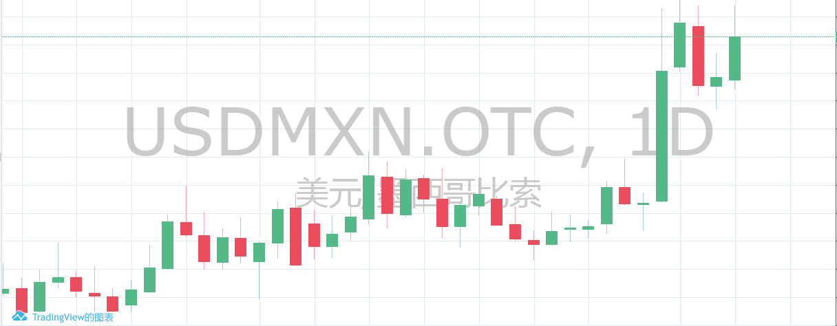 黄金甲之谜攻略(黄金甲之谜最新攻略)