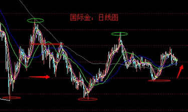 黄金片子(黄金电影高清)