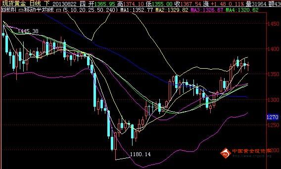 黄金熊仓鼠(金丝熊黄金仓鼠)