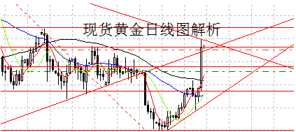 黄金海岸的作文(黄金海岸的作文400字)