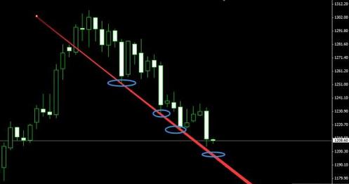 黄金海岸信鸽实业有限公司(黄金海岸鸽子)