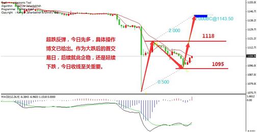 黄金猛鱼好还是巨暴好(巨暴鱼和黄金猛鱼)