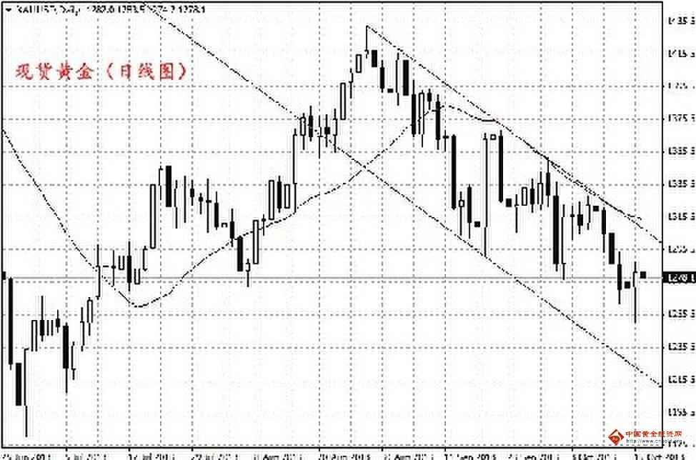 黄金甲药一瓶10粒(黄金甲药一瓶10粒装多少克)