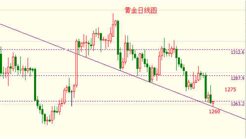 黄金搭档多少钱一箱(黄金搭档在哪里买)