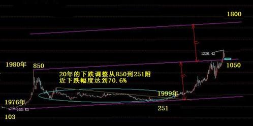 黄金山地玫瑰(黄金山地玫瑰有什么功效与作用)