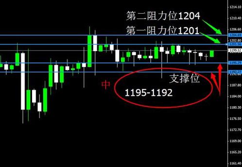 黄金岛四团(黄金岛四团下载)