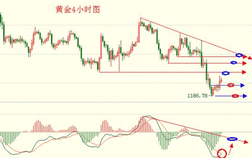 黄金声学官网(黄金声学6008)