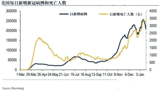 黄金可卡灯鱼(黄金可卡灯鱼野生跟人工的区别)