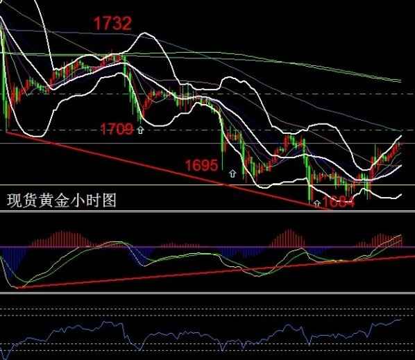 黄金叶一条多少包(黄金叶一条有多少包)