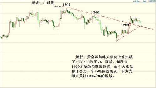 黄金叶之爱尚牛仔(黄金叶爱尚一条图片)