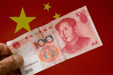 黄金刺树图片(金刚刺树图片)