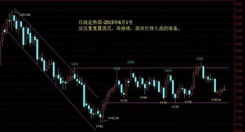 黄金卷01(黄金卷叶螟)