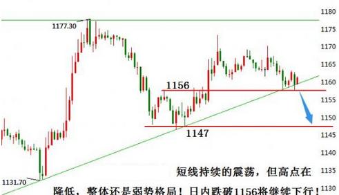 黄金公主号(黄金公主号游轮)