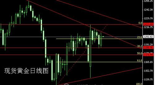 黄金二号游轮(黄金二号游轮高清图片)