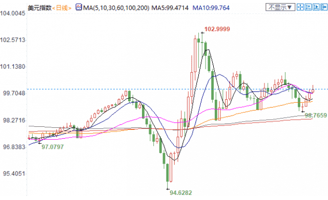 黄金丝鹦鹉(黄金丝鹦鹉成年图片)