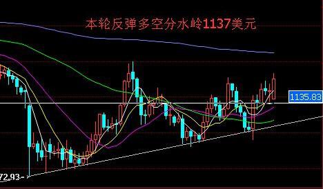 黄金995价格(黄金995价格与