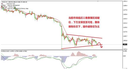 黄金一号水(黄金一号水330ml多少钱)