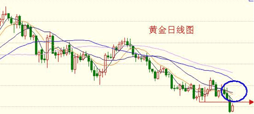 长沙今日黄金价格(长沙今日黄金价格多少钱一克)