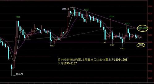 蒸黄金贝的做法大全(蒸黄金贝的做法大全图解)