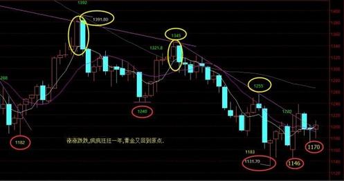 身经百战黄金甲(生经百战黄金甲)