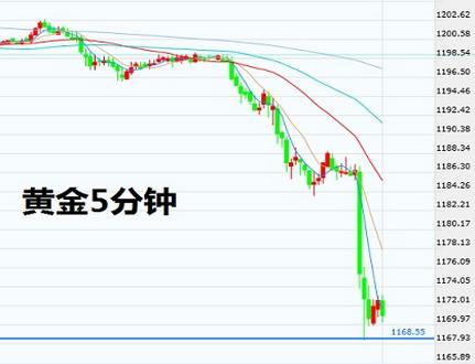 赛菲尔黄金价格(赛菲尔黄金价格官网)