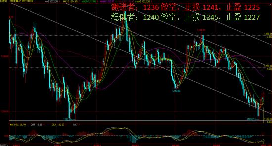 绿色黄金(绿色黄金茶叶帝国)