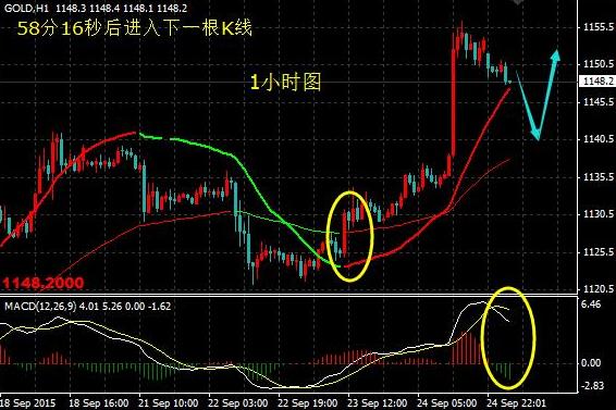 澳洲黄金海岸别墅价格(澳大利亚海边别墅价格)