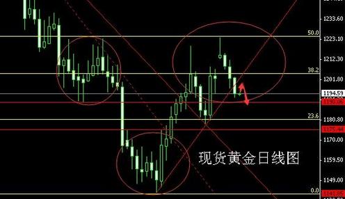 昌黎到黄金海岸怎么走(黄金海岸昌黎攻略)