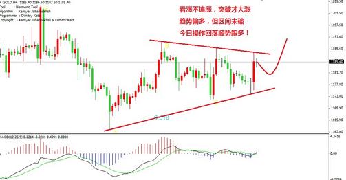 彩虹六号黄金版(彩虹六号黄金版有什么)