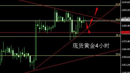 布里斯班黄金海岸天气(布里斯班黄金海岸自由行攻略)