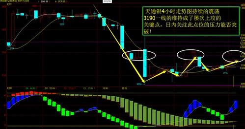 国泰黄金(国泰黄金etf联接c怎么样)