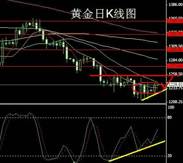 哈尔滨黄金多少钱一克(哈尔滨黄金多少钱一克2021年)