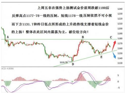 冒险岛2黄金鱼的价格(冒险岛大金鱼)