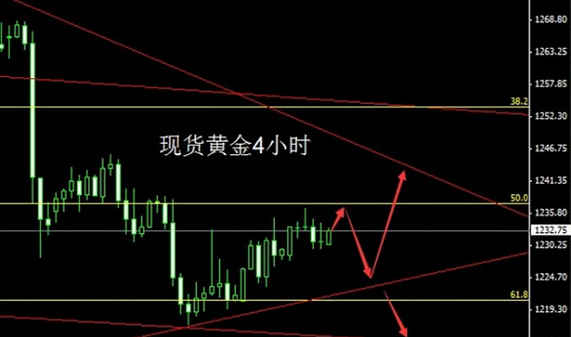 中国黄金地址查询(中国黄金公司地址查询)