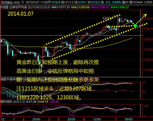 不思议迷宫黄金之种(不可思议的迷宫黄金海岸)