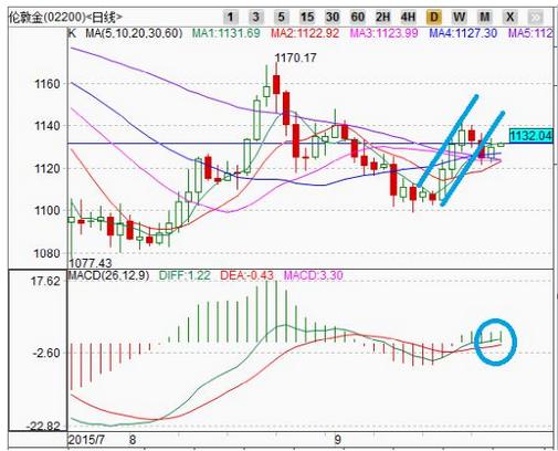 28层楼房的黄金楼层(27层楼的黄金楼层)