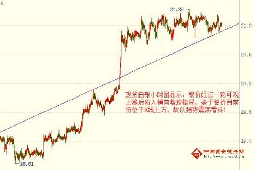 一条黄金叶多少钱(一条黄金叶多少钱回收)