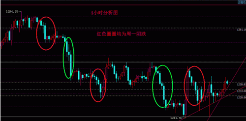 2016健美黄金赛(2017健美黄金赛排名)